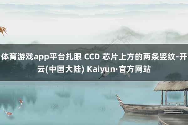 体育游戏app平台扎眼 CCD 芯片上方的两条竖纹-开云(中国大陆) Kaiyun·官方网站