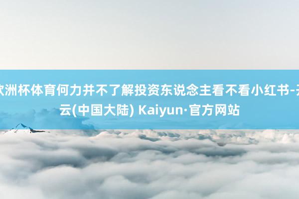 欧洲杯体育何力并不了解投资东说念主看不看小红书-开云(中国大陆) Kaiyun·官方网站