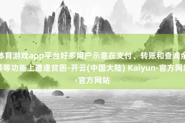 体育游戏app平台好多用户示意在支付、转账和查询余额等功能上遭逢贫困-开云(中国大陆) Kaiyun·官方网站