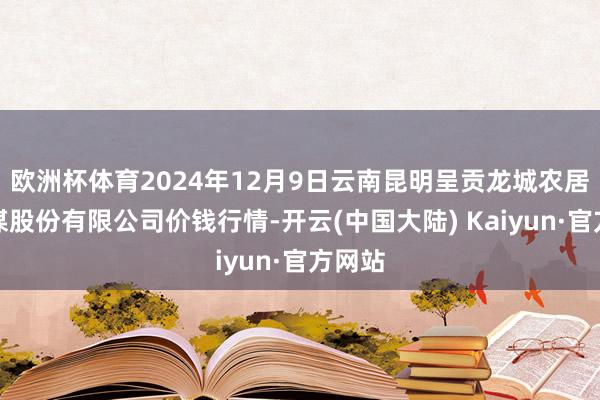 欧洲杯体育2024年12月9日云南昆明呈贡龙城农居品权谋股份有限公司价钱行情-开云(中国大陆) Kaiyun·官方网站