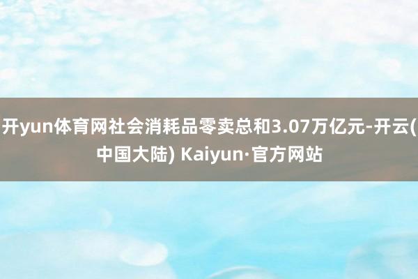 开yun体育网社会消耗品零卖总和3.07万亿元-开云(中国大陆) Kaiyun·官方网站