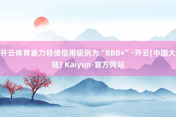 开云体育塞力转债信用级别为“BBB+”-开云(中国大陆) Kaiyun·官方网站