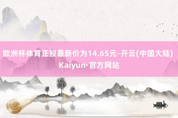 欧洲杯体育正股最新价为14.65元-开云(中国大陆) Kaiyun·官方网站