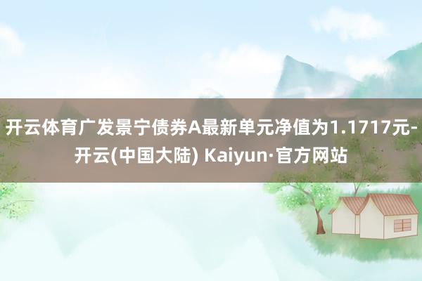 开云体育广发景宁债券A最新单元净值为1.1717元-开云(中国大陆) Kaiyun·官方网站