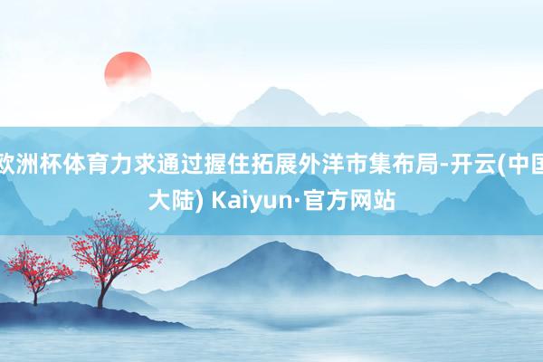 欧洲杯体育力求通过握住拓展外洋市集布局-开云(中国大陆) Kaiyun·官方网站